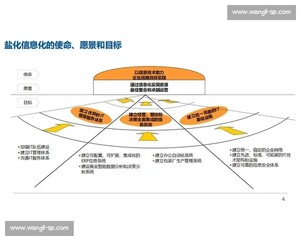 规范化运营管理的关键策略与实施路径探讨